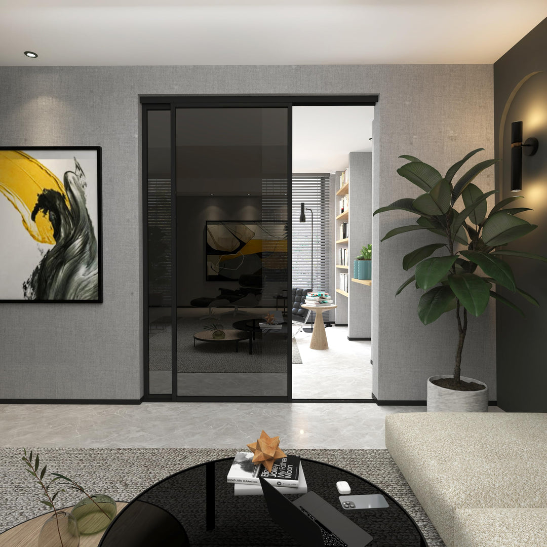 Door55 2 Panel Glass Sliding Closet Door, Black Matt Aluminum Frame