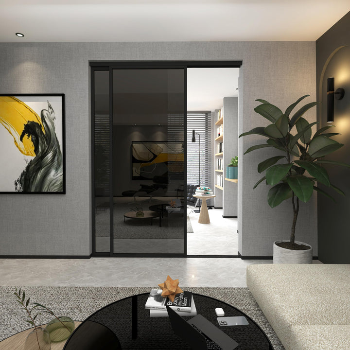 Door55 2 Panel Glass Sliding Closet Door, Black Matt Aluminum Frame