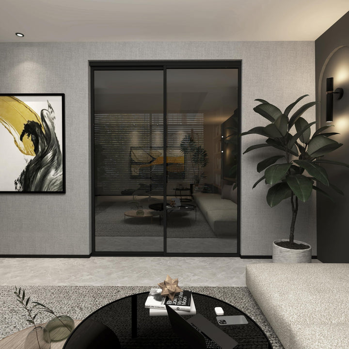 Door55 2 Panel Glass Sliding Closet Door, Black Matt Aluminum Frame